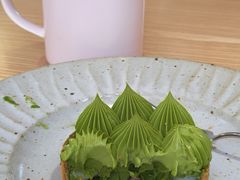 -猫里有甜