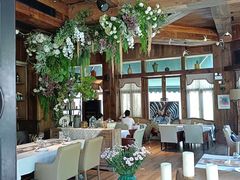 -一棵树·意大利西餐厅One Tree(新城店)