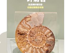 -甘肃省博物馆