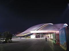 -合肥大剧院
