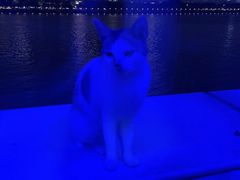 -琶醍壹号•潮菜江景餐吧