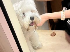 -小团圆糖水铺(襄阳南路店)