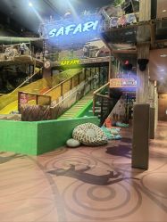 -卡通尼·Safari非洲探索乐园·生日会(金桥国际商业广场店)
