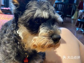 过了科二给自己的奖励 去种了睫毛，看见大众上小姐姐家