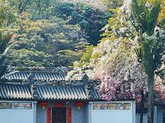 -深圳国际园林花卉博览园