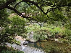 -东林大峡谷