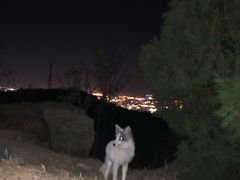 -鬼笑石后山停车场