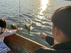 -西湖游船
