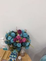 -和颜一美轻医美连锁