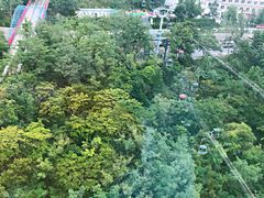 -富斯特索道