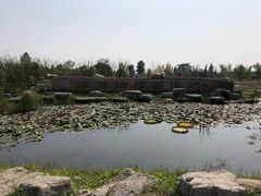 景点-泗洪洪泽湖湿地景区