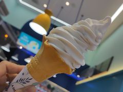 鲜椰奶冰淇淋-自然椰·海南清补凉(海月广场店)