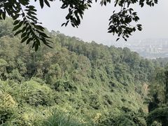 -火炉山森林公园