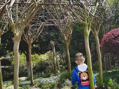 -武汉紫薇都市田园