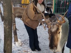 -北极村旅游风景区
