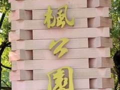 -青枫公园