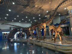 -国家自然博物馆