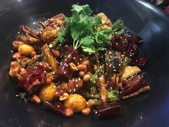 -食乐佳麻辣香锅(森林摩尔商业街区店)