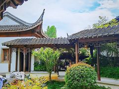 -芥子园
