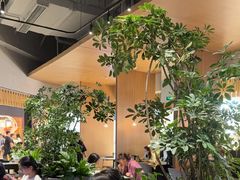 -gaga(深圳福田星河COCO Park店)