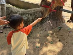 -海南热带野生动植物园