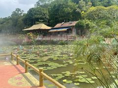 -广州莲花山旅游区