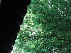 -南京市民俗博物馆(甘熙故居)