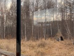 -莫尔道嘎国家森林公园