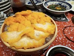 -滇野云南野生菌餐厅(陕西南路店)