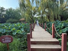 -洛阳市隋唐城遗址植物园
