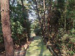 -铁山坪森林公园