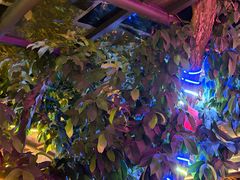 -海岛八号龙虾烧烤田鸡(蓝天路总店)