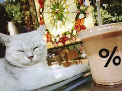 综合豆拿铁-% Arabica阿拉比卡咖啡(武康路店)