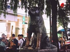 -涩谷区