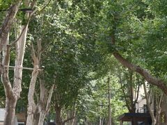 -西安电影制片厂