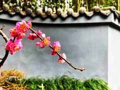 -成都杜甫草堂博物馆