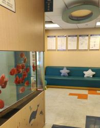 -杭州贝瑞斯美华妇儿医院·早孕·产检·儿科