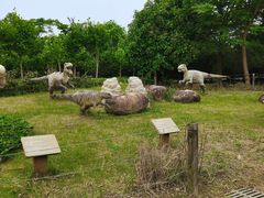 -上海海湾国家森林公园