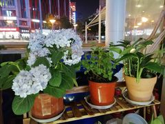 -绿韵风情吧(三峡广场店)