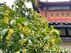 -宝光寺