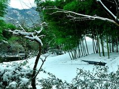 -祁门牯牛降观音堂风景区