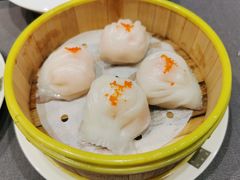 -采蝶轩