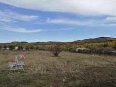 -塞罕坝国家级自然保护区