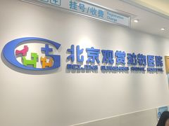 -北京观赏动物医院·24小时大型综合·猫专科·异宠专科