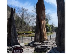 -金钉子远古世界景区