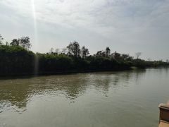 -大湾区中央湿地公园