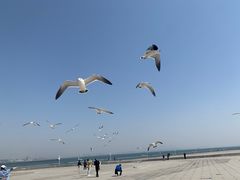 -东港音乐喷泉广场