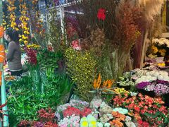 -梅陇花鸟市场-停车场