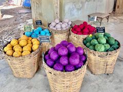 -大象粑粑造纸公园