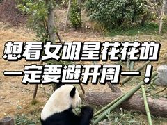 -成都大熊猫繁育研究基地